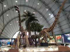 -辽宁古生物博物馆