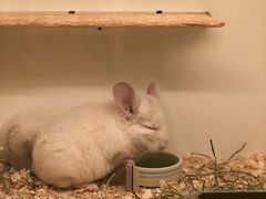 -龙猫仔乐园(惠福东路店)