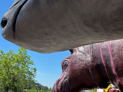 -西霞口神雕山野生动物世界