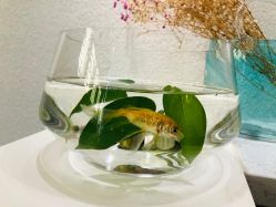 -水沐莲清瑜伽·普拉提