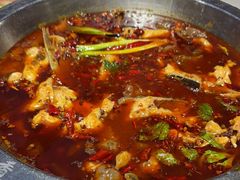 -蜀滋香鲜鱼美蛙火锅(339店)