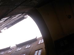 -武汉大学-樱园