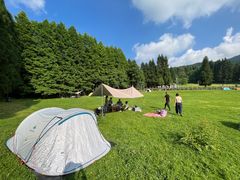 -武陵山森林公园