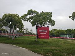 -上海都市菜园