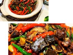 -院8里·少城记忆老川菜(宽窄巷子店)