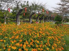 -映月湖公园
