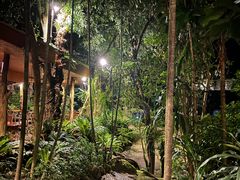 -绿光森林餐厅