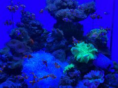 -多彩贵州城极地海洋世界