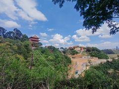 -长虫山生态公园风景林