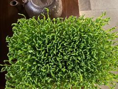 鲜豆豌豆苗-湊湊火锅·茶憩(上海合生汇店)