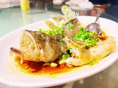 -同庆堂(解放北路店)