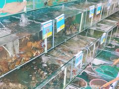 水产区-琼大师东方烤乳猪(亚特兰蒂斯店)