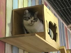 -小时光咖啡馆(开森度假森林店)