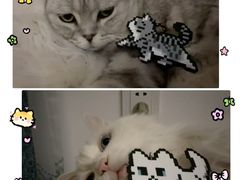 -花栗创意手工馆·小戏拼豆店