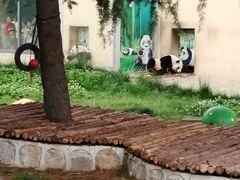 -西安秦岭野生动物园