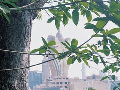 -东望洋炮台东望洋灯塔