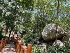 -大岭沟猕猴桃谷风景区