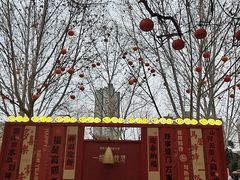 -西苑公园