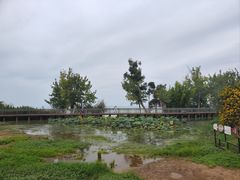 -捞渔河湿地公园