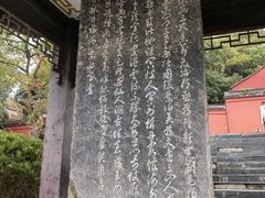 -宜兴张公洞