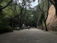 -滴水岩森林公园