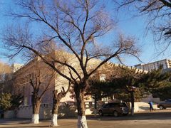 -辽宁大学(崇山校区)