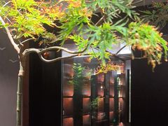 -王府茶楼茶宴·创意菜(朝阳公园店)