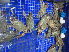 -高佳庄·舟山海鲜(海景旗舰店)