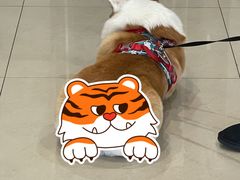 -艾贝尔宠物医院·24H转诊中心·肿瘤猫专科(江宁双龙店)