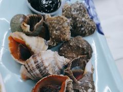 清蒸小海螺-北戴河庆山饭店·海鲜砂锅粥(北戴河黑石路店)