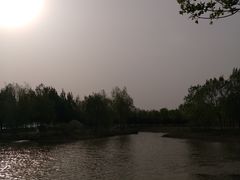 -东郊湿地公园