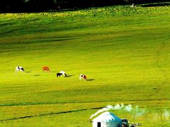 -阿英煲(凉城路店)