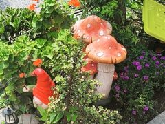 -大理.老字号渝记酸萝卜乌鱼(古城总店)