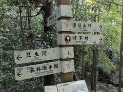 -波尔登森林公园
