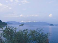 -千岛湖石林