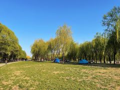 -东坝千亩湖公园
