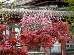 -寿山福海养老服务中心(石景山院)