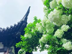 -常熟方塔园