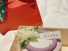 -Ginko银子(青龙街店)
