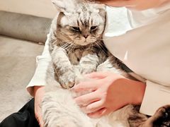 -猫友咖啡店(玉林西路店)