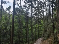 -冶父山国家森林公园