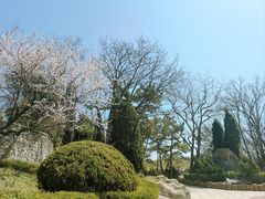 -燕窝岭