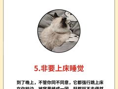 -申普宠物医院(总院)