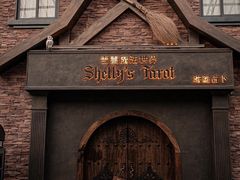 -雪灵魔法世界SHELLY’S TAROT(大良桂畔里店)