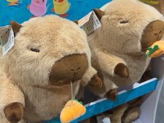 -FullHouse桌游狼人跑团剧本杀(徐家汇店)