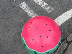 -合肥滨湖国家森林公园