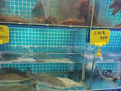 -前王院•巧克力海鲜市集餐厅(万平口店)