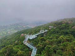 -亚龙湾热带天堂森林公园