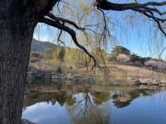 -北京西山国家森林公园