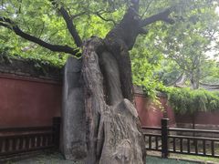 -天宁寺